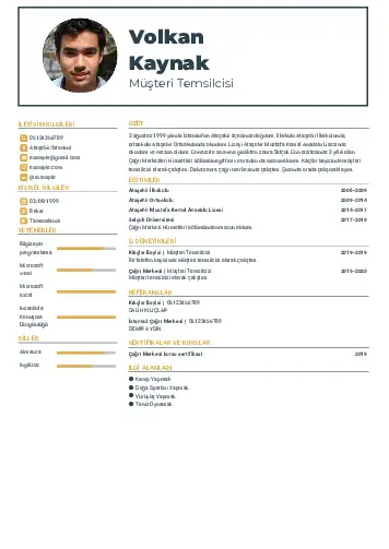 cv indir
